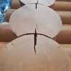 Шлифовка и покраска деревянных домов - Woodenstroy